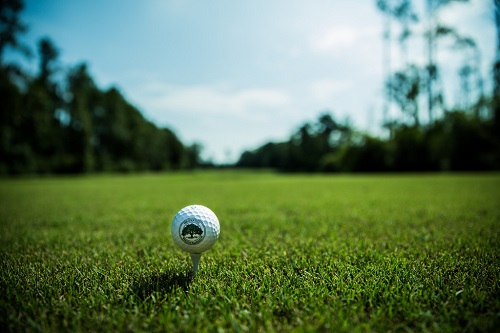 jani-king golf