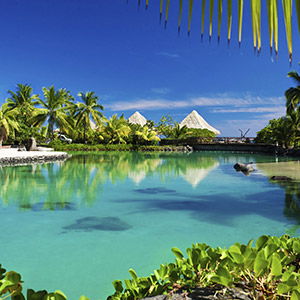 resort cleaning jani-king