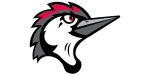 the logo of the university of arizona