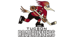 the roadrunners logo