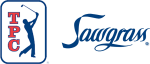 the logo for the new york hockey club